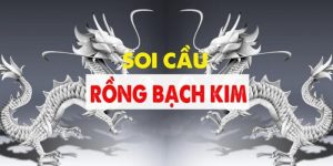 Giới thiệu rongbachkim và một số điểm đặc biệt