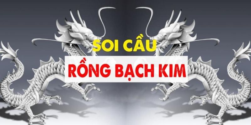 Giới thiệu rongbachkim và một số điểm đặc biệt