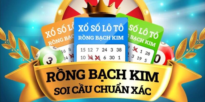 Những điều bạn nên biết về trang web rongbachkim